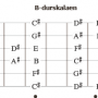 b-durskalaen-fem-kryss.png